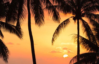 Hawaii güzel gün batımı. 