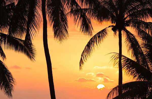 Piękny Zachód Słońca Hawajach — Zdjęcie stockowe