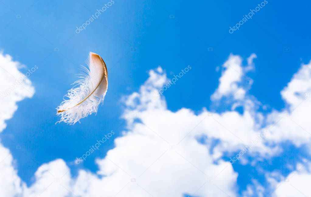 Feather floating in the sky