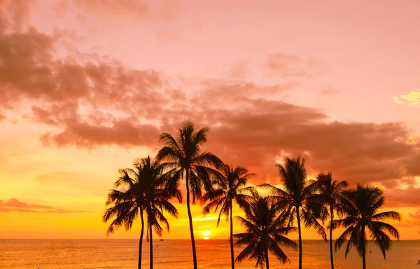 Ηλιοβασίλεμα Στη Χαβάη — Φωτογραφία Αρχείου