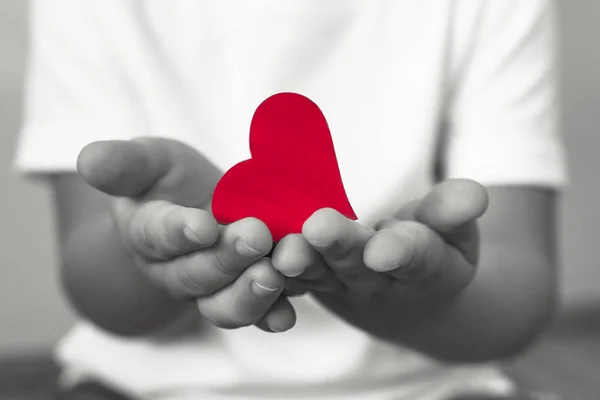 Criança Rapaz Tem Coração Vermelho Nas Mãos — Fotografia de Stock