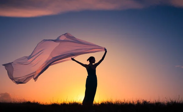 Silhouette Donna Incinta Campo Aperto Che Tiene Lungo Tessuto Che — Foto Stock