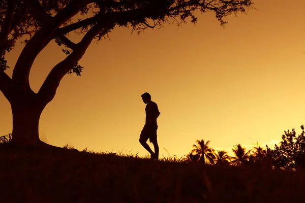 Samotny Człowiek Spacerujący Terenie — Zdjęcie stockowe