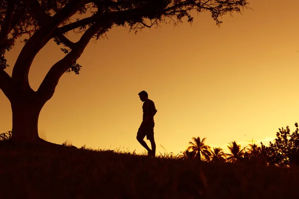 Alone Man Walking Field — Stock Photo, Image