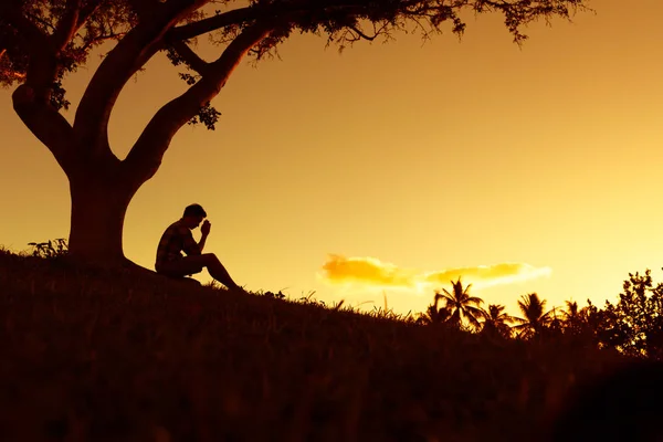 Silhouette Eines Depressiven Mannes Der Unter Dem Baum Sitzt — Stockfoto