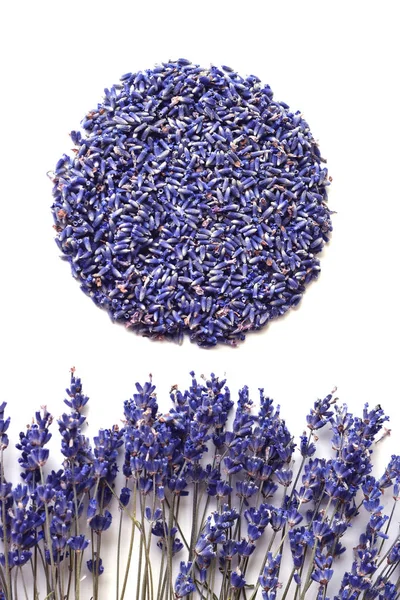 Lavender. Still life with dried lavender flowers.