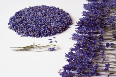 Lavanta. Kurutulmuş lavanta çiçekli natürmort.