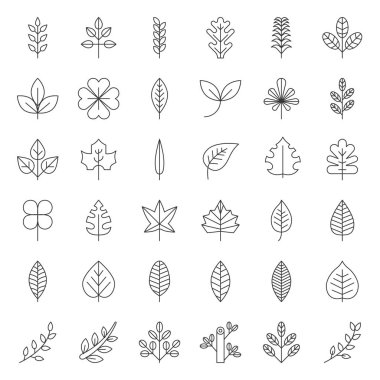 Vektör Icon set içinde düz stil yaprak