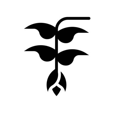 Heliconia çiçek vektörü, tropikal ilgili katı stil simgesi