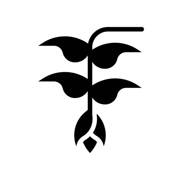 Heliconia vector de flores, tropical icono de estilo sólido relacionado — Vector de stock