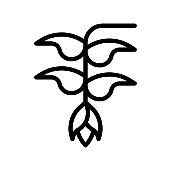 Heliconia vector de flores, tropical relacionados icono de estilo de línea — Vector de stock