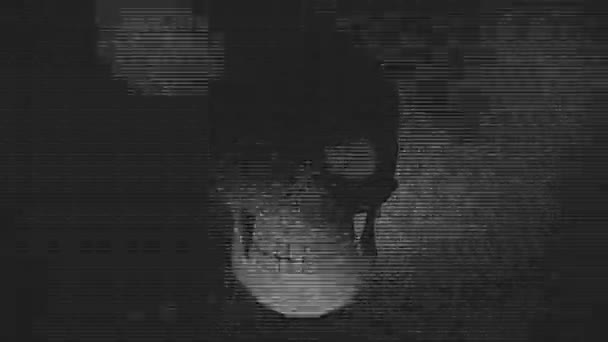Компьютерная Анимация Мерцающих Черепов Абстрактном Фоне Подходящем Хэллоуина — стоковое видео