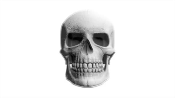 Computer Generated Animation Skulls Abstract Background Suitable Halloween — Stock Video