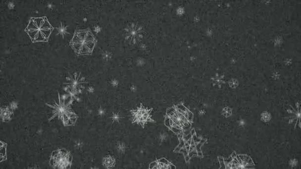 Een Computer Gegenereerde Animatie Van Gestileerde Sneeuwvlokken Die Naar Beneden — Stockvideo