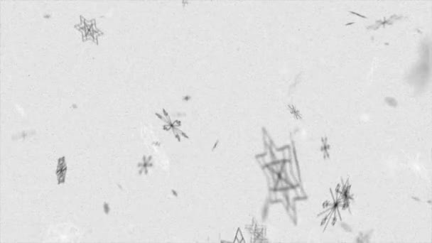 Datorgenererad Animation Styliserade Snöflingor Som Flyter Nedåt — Stockvideo