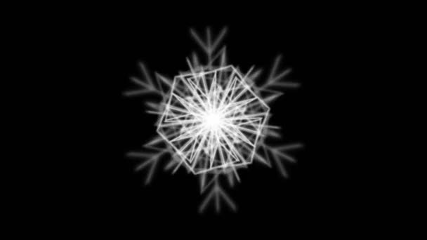 电脑生成的风格化雪花动画 — 图库视频影像