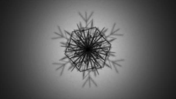 Computer Generated Animation Styilized Snowflakes — Stock Video