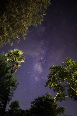 Samanyolu Galaksisi, yıldızlar ve teraslı pirinç tarlasında uzay tozu. (Yüksek ISO, yumuşak odak, sığ DOF, hafif hareket bulanıklığı nedeniyle görülebilir gürültü)