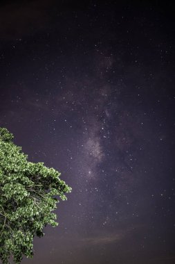 Samanyolu Galaksisi, yıldızlar ve teraslı pirinç tarlasında uzay tozu. (Yüksek ISO, yumuşak odak, sığ DOF, hafif hareket bulanıklığı nedeniyle görülebilir gürültü)