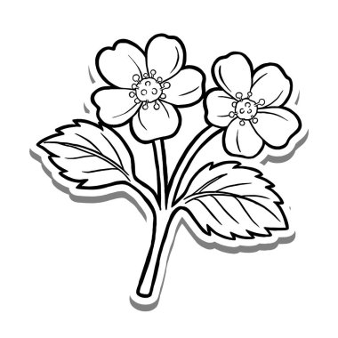 Beyaz Siluet ve Gri Gölge 'de Yaprak Özeti olan İki Çilek Çiçeği. Doğa Hakkında Vektör İllüstrasyonu.