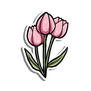 Basit bir çizgi film tarzında yeşil yaprakları olan üç sevimli pembe lale, kalın çizgiler ve beyaz arka planda izole edilmiş beyaz renkler, çıkartmalar veya çiçek tasarımları için mükemmel..