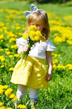 Kokulu, yaz saati, güneşli gün karahindiba çiçeklerle parkta yürüyüş sevimli küçük beyaz kız
