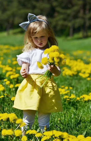 Kokulu, yaz saati, güneşli gün karahindiba çiçeklerle parkta yürüyüş sevimli küçük beyaz kız