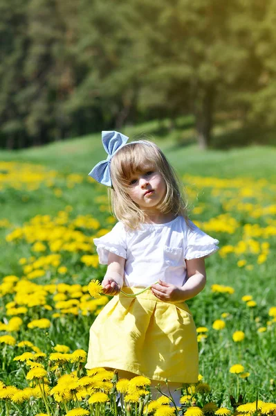 Niedliche Kleine Kaukasische Mädchen Fuß Den Park Mit Löwenzahnblüten Riecht — Stockfoto