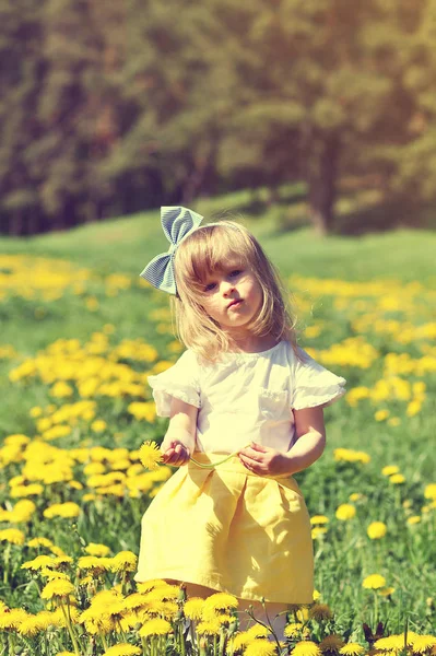 Kokulu, yaz saati, güneşli gün karahindiba çiçeklerle parkta yürüyüş sevimli küçük beyaz kız