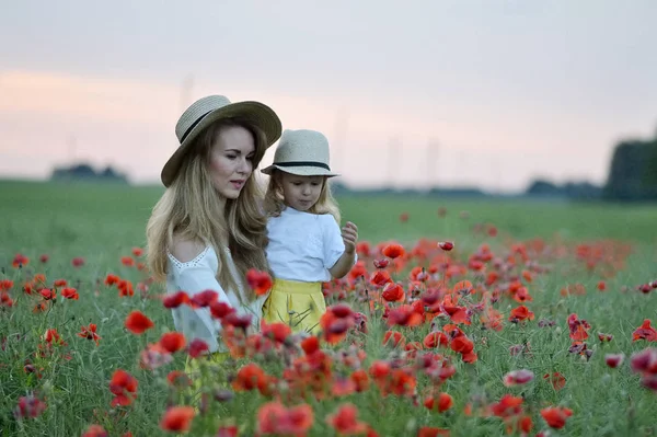 Niedliches Kleines Mädchen Mit Ihrer Mutter Fuß Das Feld Mit — Stockfoto