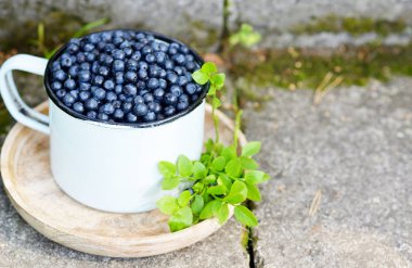 Eski retro Kupası, yeşil çimen, yaz hasat, sağlıklı gıda taze organik yaban Yaban mersini