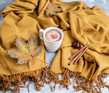 Beyaz fincan sıcak çikolata, sarı ekose, yaprakları, gri arka plan, sonbahar kavramı, rahatlık, Instagram stili