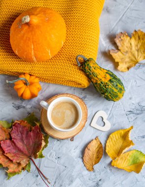 Çay bardağı ile kahve sıcak çikolata Sonbahar zaman fırın simit tonda fotoğraf örgü atkı battaniye sarı yaprakları gri arka plan
