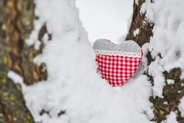 Piękne Serce Oddział Naturalnych Środowisk Koncepcja Valentine Day Retro Vintage — Zdjęcie stockowe