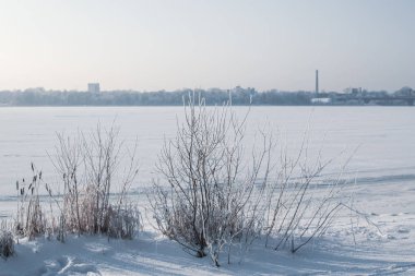 Kışın nehrin soğuk güneşli donmuş gün görünümü 