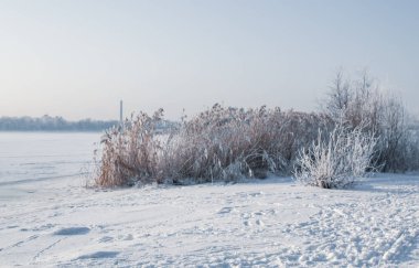 Kışın nehrin soğuk güneşli donmuş gün görünümü 