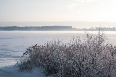 Kışın nehrin soğuk güneşli donmuş gün görünümü 