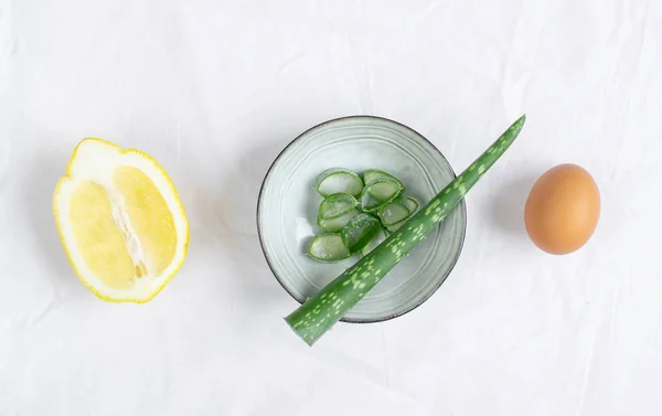 Ingredienti Naturali Crema Maschera Corpo Fatta Casa Scrub Con Aloe — Foto Stock