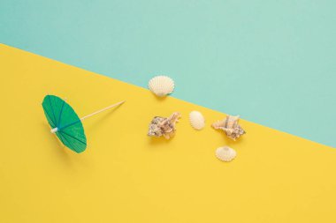 Mavi ve sarı arka planda egzotik deniz kabukları bileşimi. Plaj rahatla. Yaz konsepti. Düz Lay. Üst görünüm
