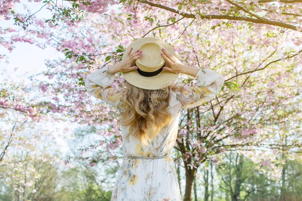 Lovely Beautiful Caucasian Woman in Dress Standing Posing on the Background of Blooming Japan Cherry Blossoms Pastel Pink Sakura Garden Park Fashion Look Springtime Sunny Day Walking