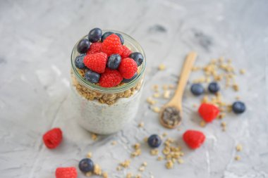 Çilek ve müsli ile Hindistan cevizi Chia tohum puding, vitamin kahvaltı, sağlıklı gıda kavramı, diyet