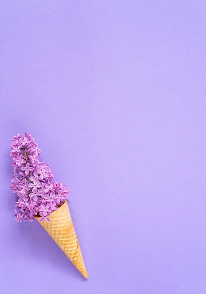 Composición Cono Helado Con Flores Lila Púrpura Sobre Fondo Violeta — Foto de Stock