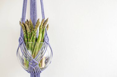 Beyaz arka plan üzerinde el yapımı macrame süs saksı. Nakış. İskandinav tasarımı