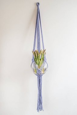 Beyaz arka plan üzerinde el yapımı macrame süs saksı. Nakış. İskandinav tasarımı