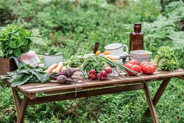 Vários Vegetais Frescos Mesa Madeira Conceito Alimento Bio — Fotografia de Stock