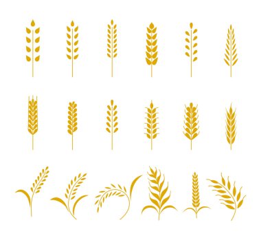 Set of simple wheats ears icons and grain design elements for beer, organic wheats local farm fresh food, bakery themed wheat design, grain, beer elements. Vector illustration eps10 clipart