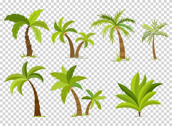 Palmetrær isolert på gjennomsiktig bakgrunn. Vakker vectro palma-setevektor-illustrasjon – stockvektor