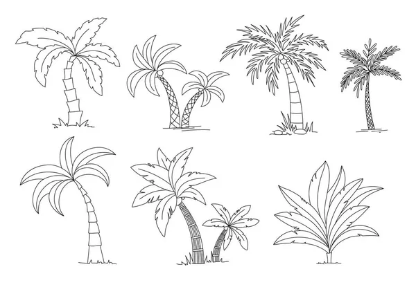棕榈树着色书。美丽的 vectro 帕尔马树设置向量例证 — 图库矢量图片