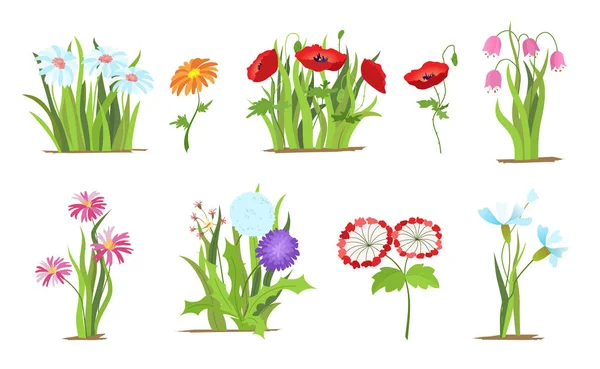 Conjunto de floresta selvagem e flores de jardim. Conceito de primavera. Isolamento de ilustração de flor vetorial plana em um fundo branco . — Vetor de Stock