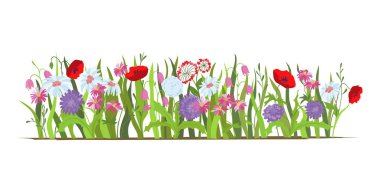 Flowerbed. Vahşi orman ve Bahçe Çiçek kümesi. Bahar kavramı. Düz vektör çiçek illüstrasyon izole beyaz bir arka plan üzerinde.